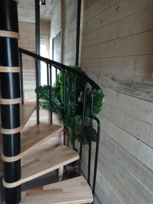 Villa Le P'Tit Nid : Mini Loft Pour 2 A 4 Personnes à Tellin Extérieur photo